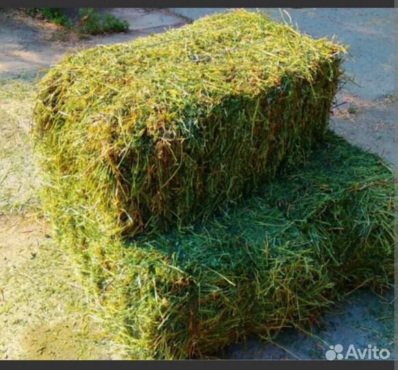 Сено,люцерна в тюках