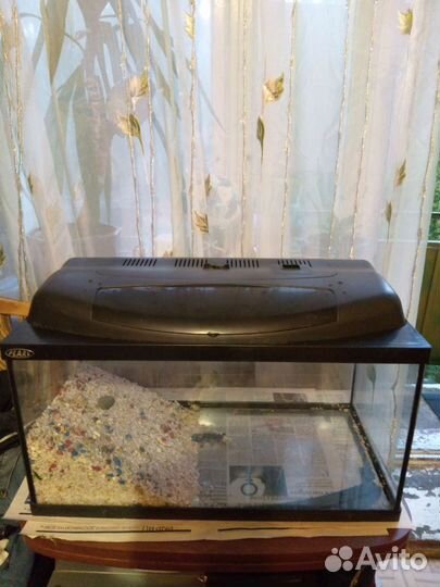 Аквариум