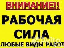 Покос травы