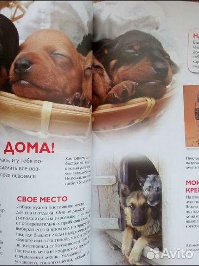 Энциклопедия