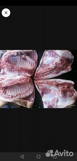 Мясо свинина домашняя