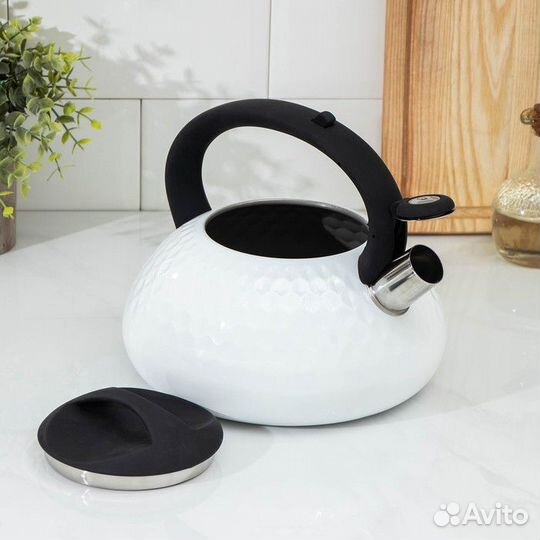 Чайник со свистком из нержавеющей стали Magistro G