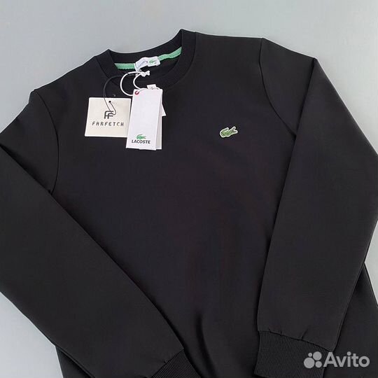 Свитшот Lacoste