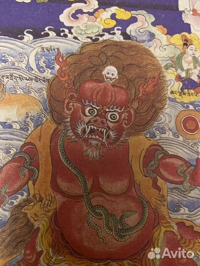 Атлас тибетской медицины