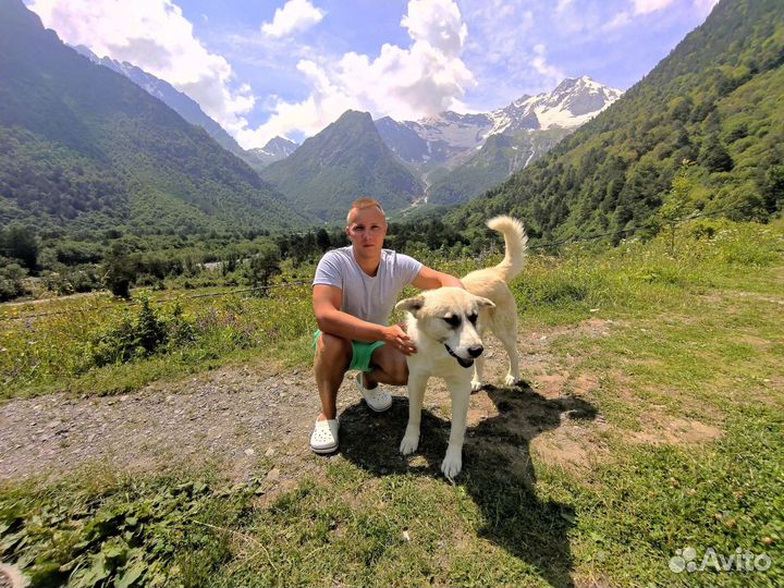 Свой человек в Казани