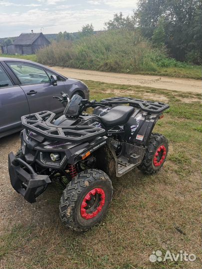 Avantis Hunter Big 200