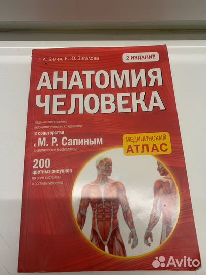 Анатомический атлас (2е издание)