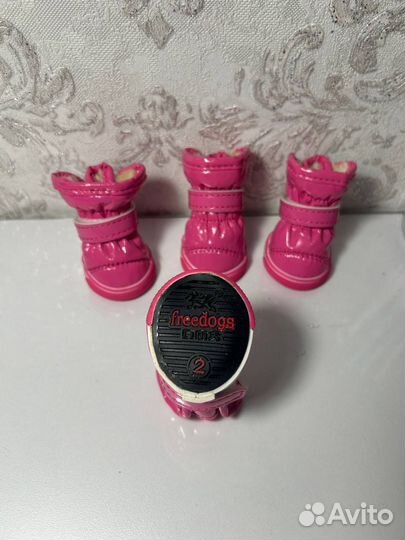 Обувь для собак