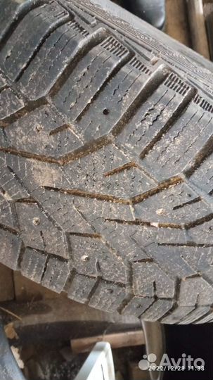 Шины зимние Gislaved Nord Frost 5 205/60 R16 91T
