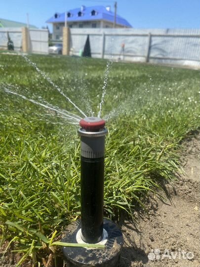 Рулонный газон под ключ