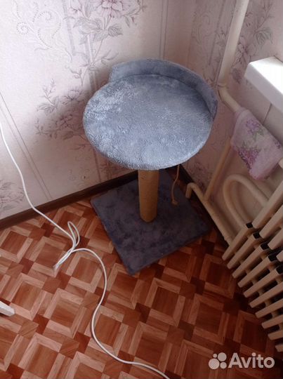 Когтеточка для кошек