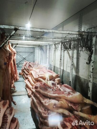 Мясо свинины охлажденное оптом