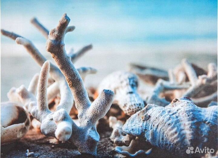 Картина на холсте 