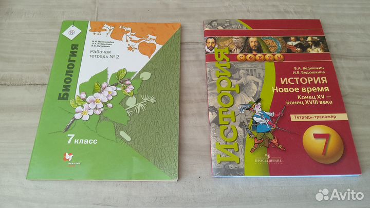 Рабочие тетради 7 класс