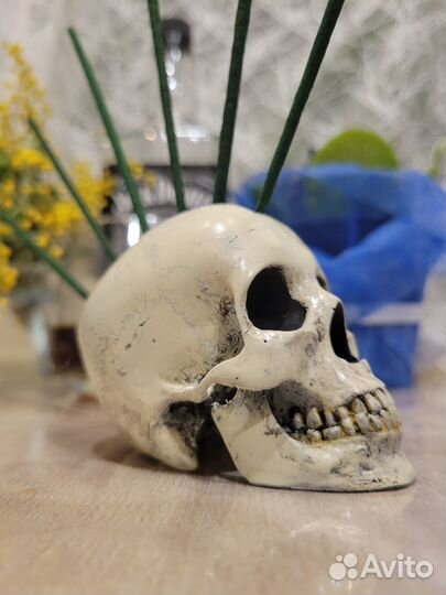 Держатель для зубочисток Череп-Панк