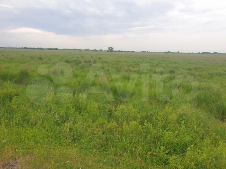Участок 10,1 сот. (ИЖС)