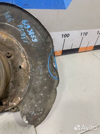 Кулак задний левый