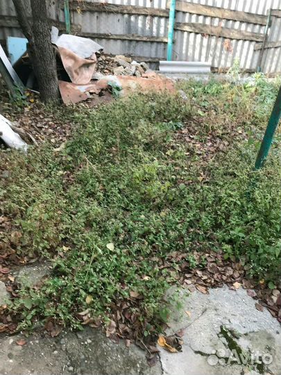 Уборка,помощь