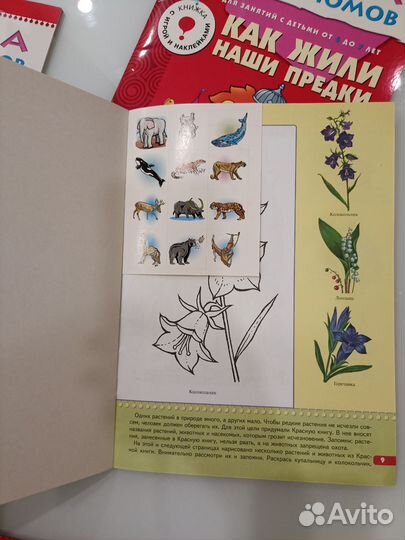 Школа семи гномов 6 + пособия для подготовки