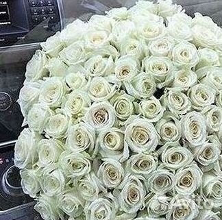 Высокие розы Доставка цветов