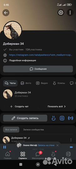 Щенки добермана