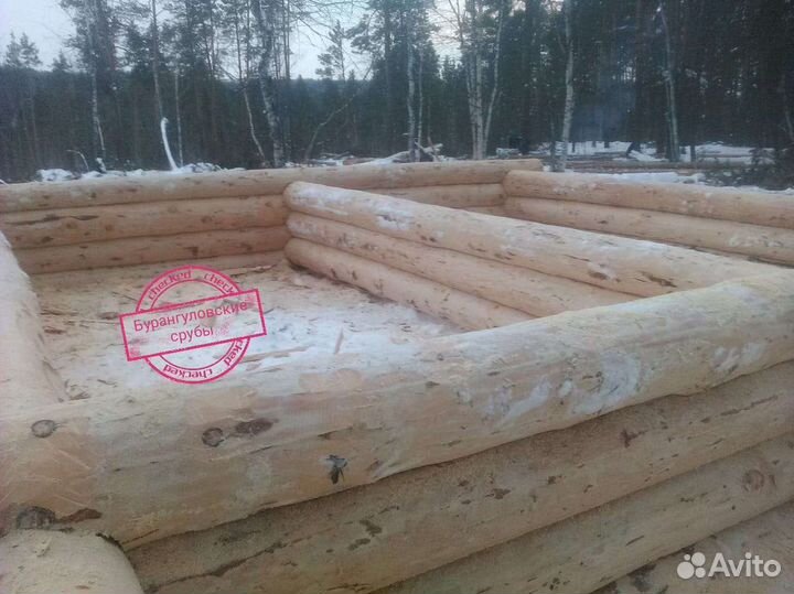 Срубы бань 3х5 сосновый лес, аккуратная рубка