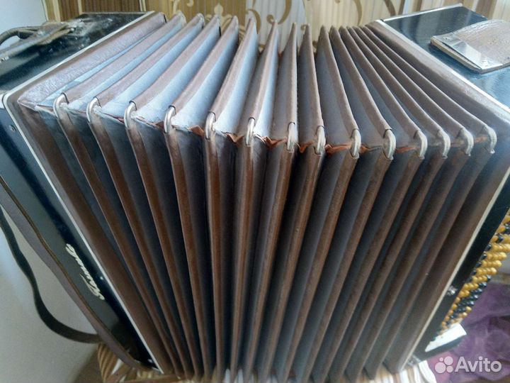 Полтава Баян