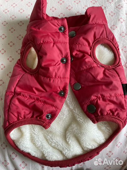 Курточка для собачки