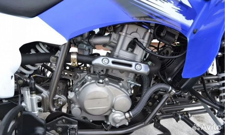 Квадроцикл Motoland ATV 250 S синий