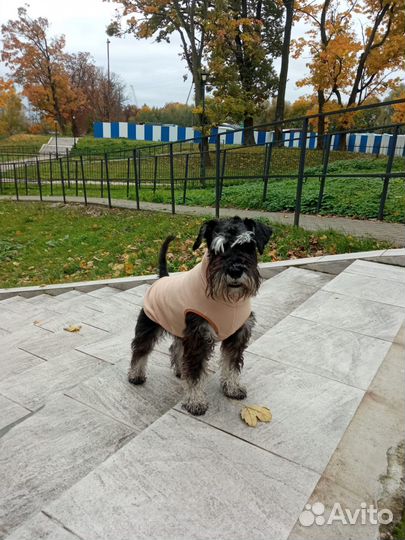 Кофта для собаки из флиса