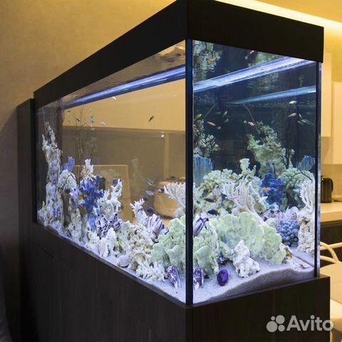 Где заказать стекла для аквариумов?