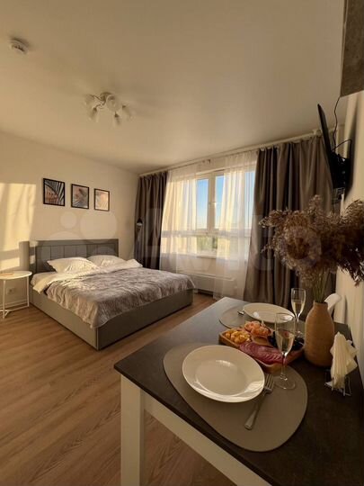 Квартира-студия, 24 м², 7/17 эт.