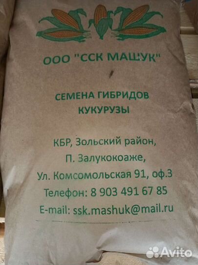 Семена кукурузы