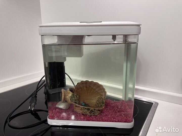 Аквариум prime