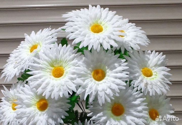 На отправку 5 шт