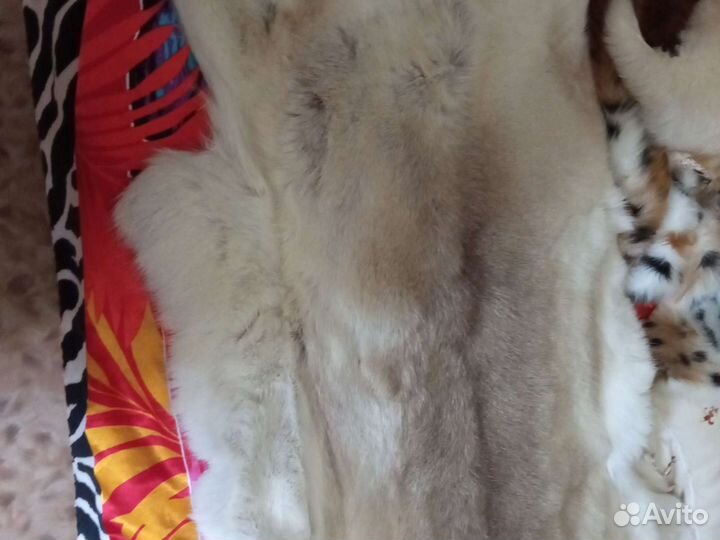 Шкура оленя