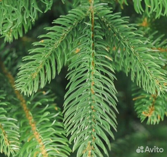 Ель искусственная новогодняя 180-250 см литая