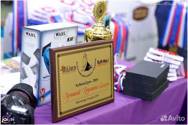 Груминг животных, стрижка собак и кошек