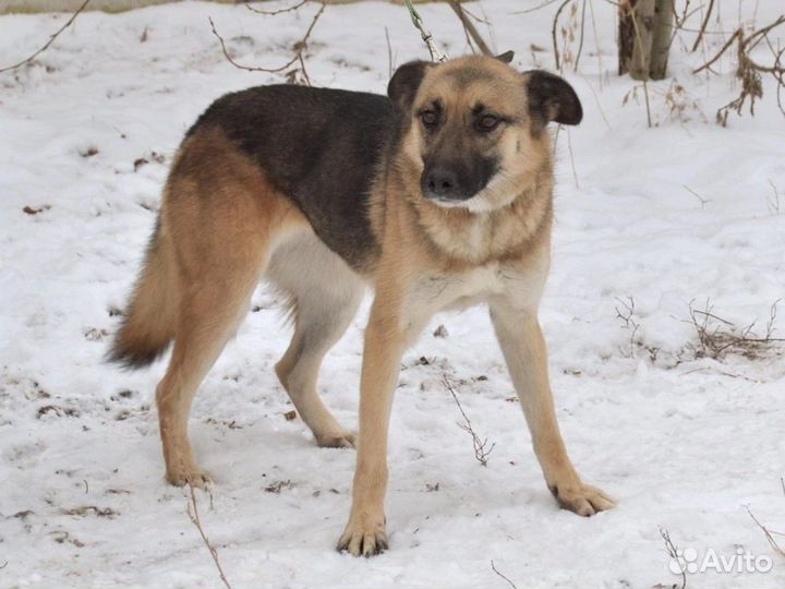 Тильда - Матильда