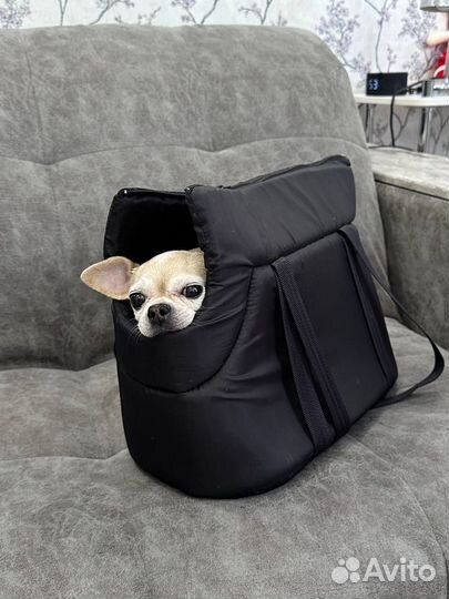 Сумка переноска для кошек и собак
