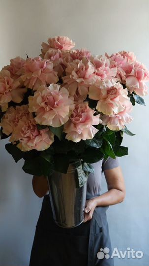 Франзуские розы букет на заказ доставка Саратов