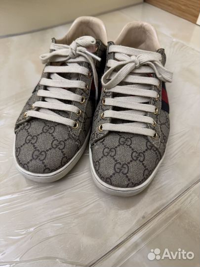 Кеды Gucci оригинал