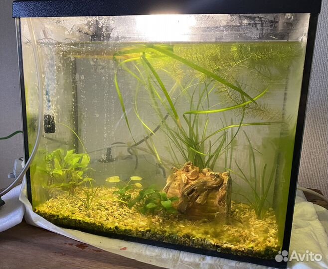 Аквариум 25 л