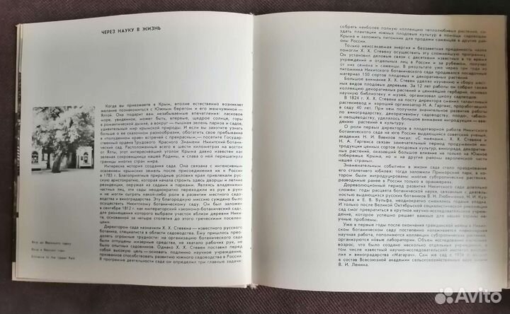 Никитский ботанический сад. Фотоальбом