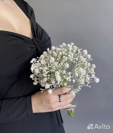 Гипсофила искусственная