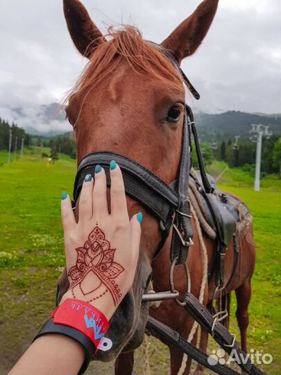 Хна для мехенди Golecha