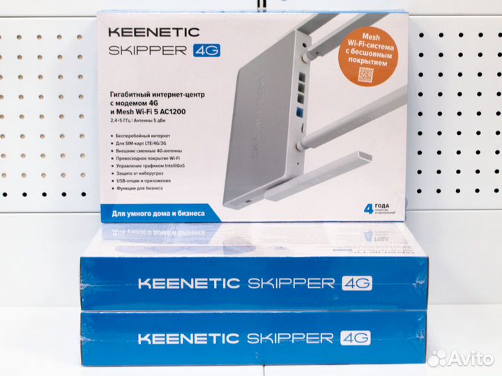 Keenetic Skipper 4G (KN-2910)