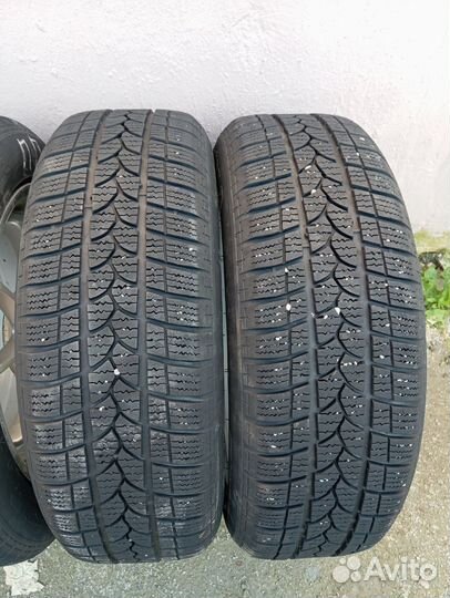 Tigar Winter 1 215/55 R17 98V