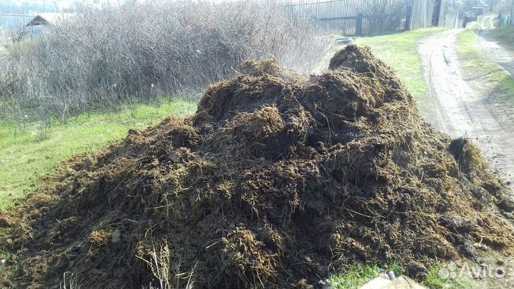 Навоз коровий