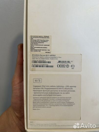 iPad mini retina